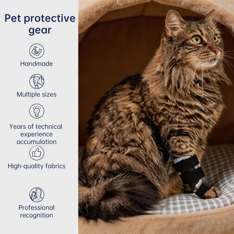 Schwarze verstellbare PawSupport™ Beinbandage am Vorderbein einer getigerten Katze