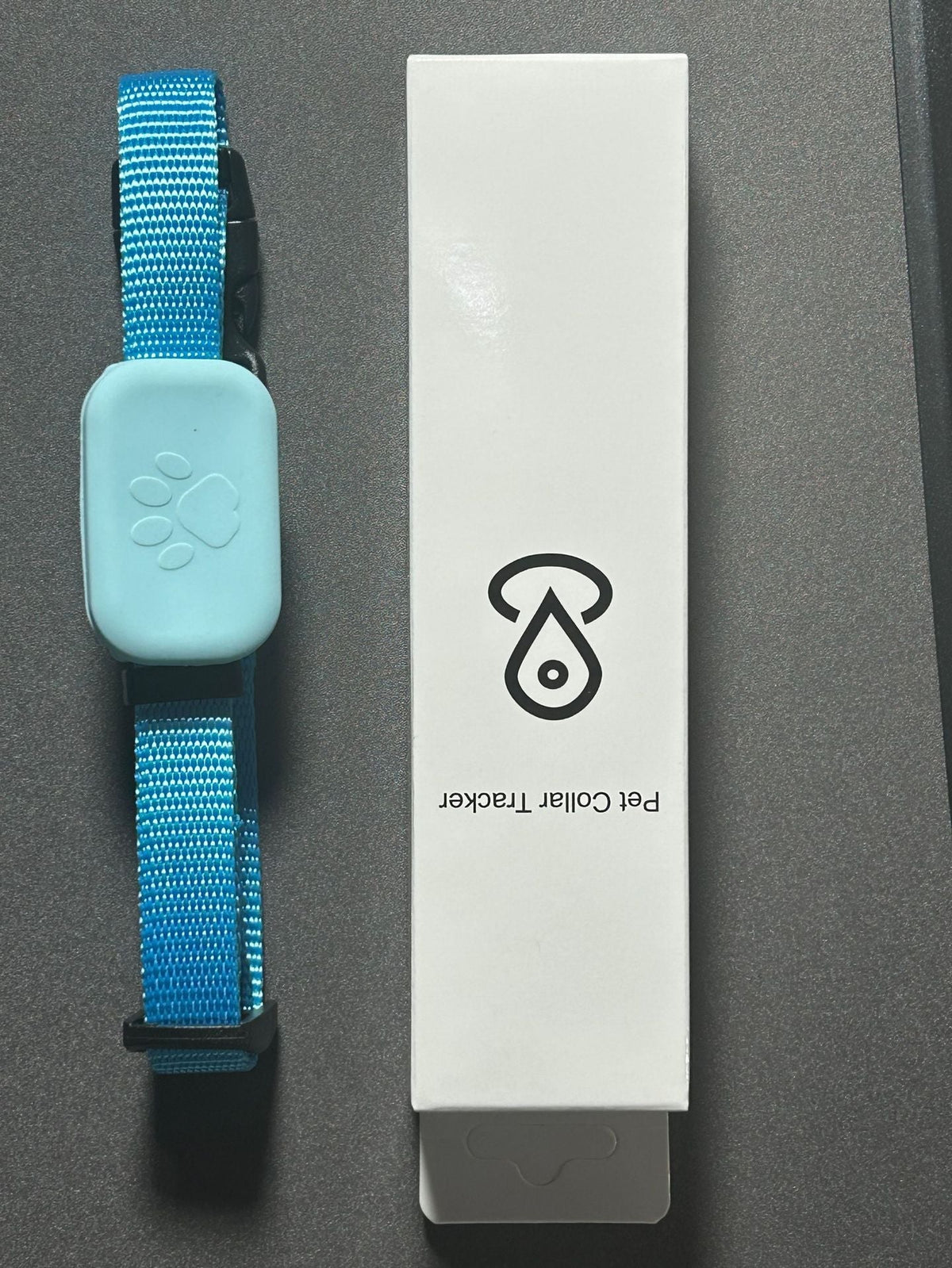 TrackTag™ Tracking-Halsband mit türkisem Anhänger, Pfotenmotiv und blauem Gurt