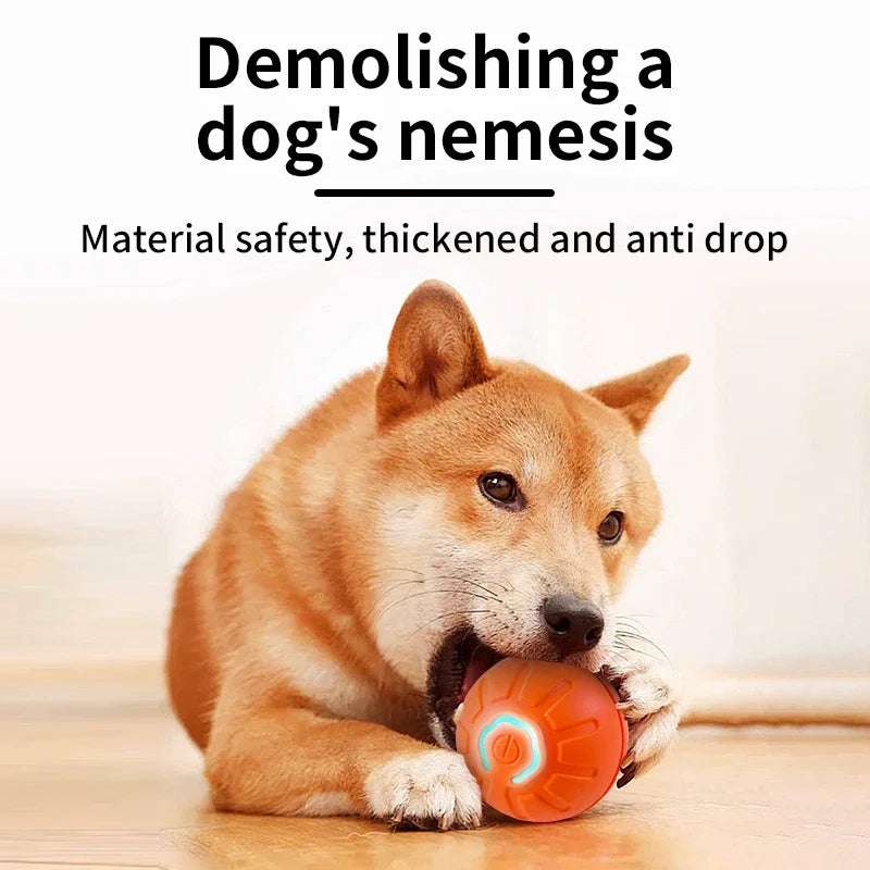 Hund mit orangefarbenem SmartBounce™ interaktivem Hundeball mit geformten Rillen
