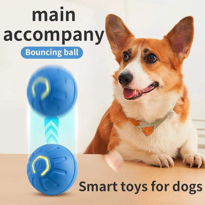 PetLar SmartBounce™ Interactive Dog Ball – Durable Chew-Resistant Toy for Dogs – Blue & Orange