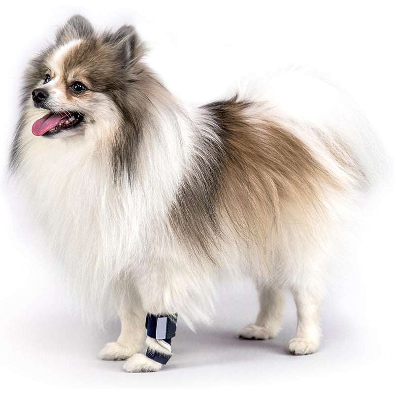 PawSupport™ Hundebandage mit dunkelblauen verstellbaren Gurten und weißer Polsterung an einem Vorderbein