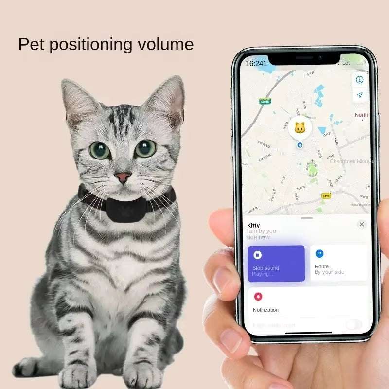 Getigerte Katze mit schwarzem TrackTag™ Tracking-Halsband neben einem Smartphone mit Kartenansicht